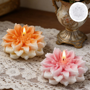 �ӯB���������zģ�� DIY����������޹Ϟ�T�U��ʯ��֬��ˇƷģ��