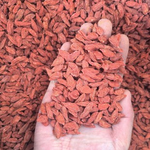 ����ӌ������a500g��轹��o��������ˮ���Ұ