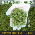 2023新茶明前特级嫩芽白茶安吉绪言茶场直销手工型高山白茶兰花型