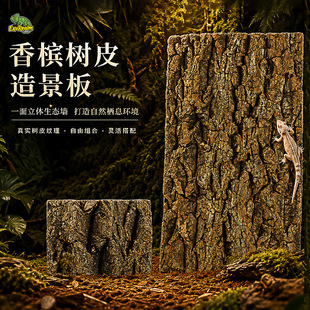 �㙉��Ƥ���������x ��B����B���쾰���挙��� õ��֩������
