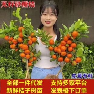 ���Ә��� ��Ҋ������ ɰ������ ��������������Ե��� ���θ̘���