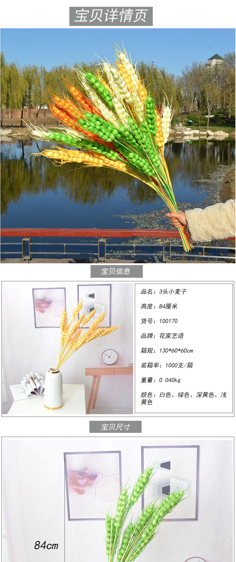 3头小麦子_01.jpg?x-oss-process=image/format,png