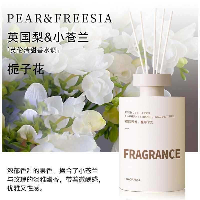 [1+1] 프리지아 + 가드니아