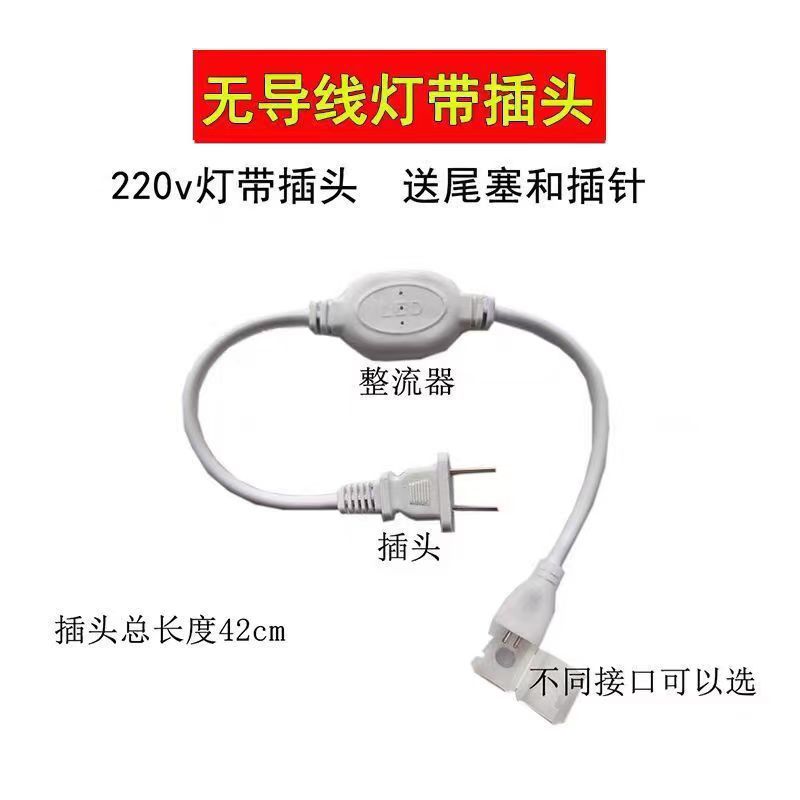 Wireless light with plug