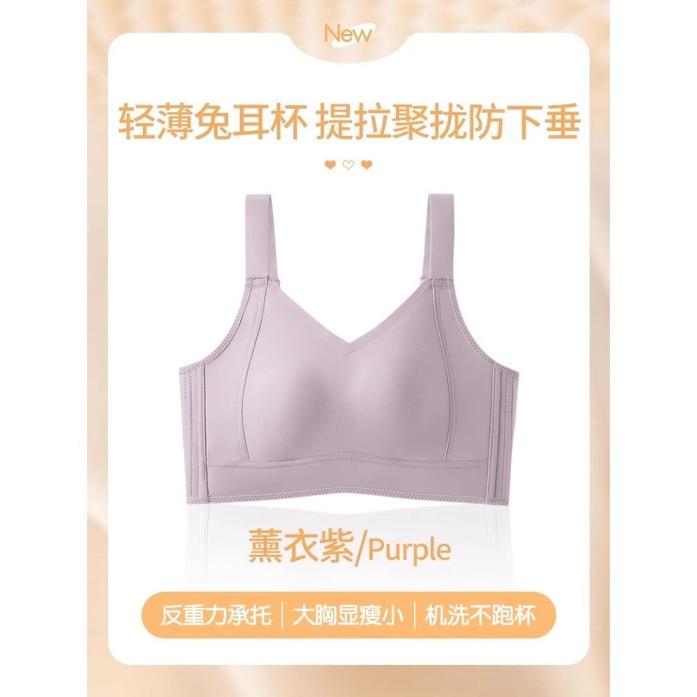 라벤더 퍼플