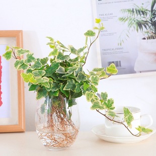 ѩ��������ˮ���҃����B���~ֲ������~�����������k���ҹ�λˮ�B