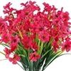Rose red