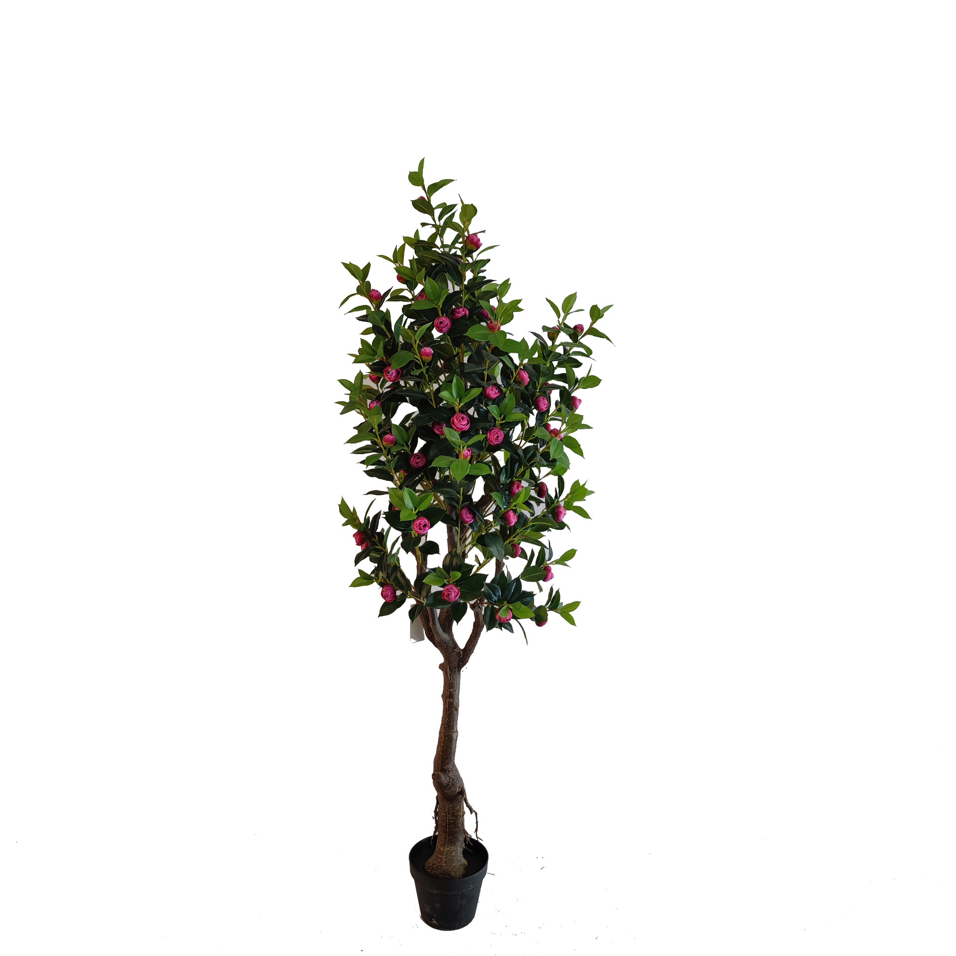 Árbol de Camelia Artificial para Decoración de Interiores, Planta Artificial en Maceta para Exhibición en Ventanas, Decoración Suave para Paisajismo, Fabricante de Árboles de Camelia Artificiales