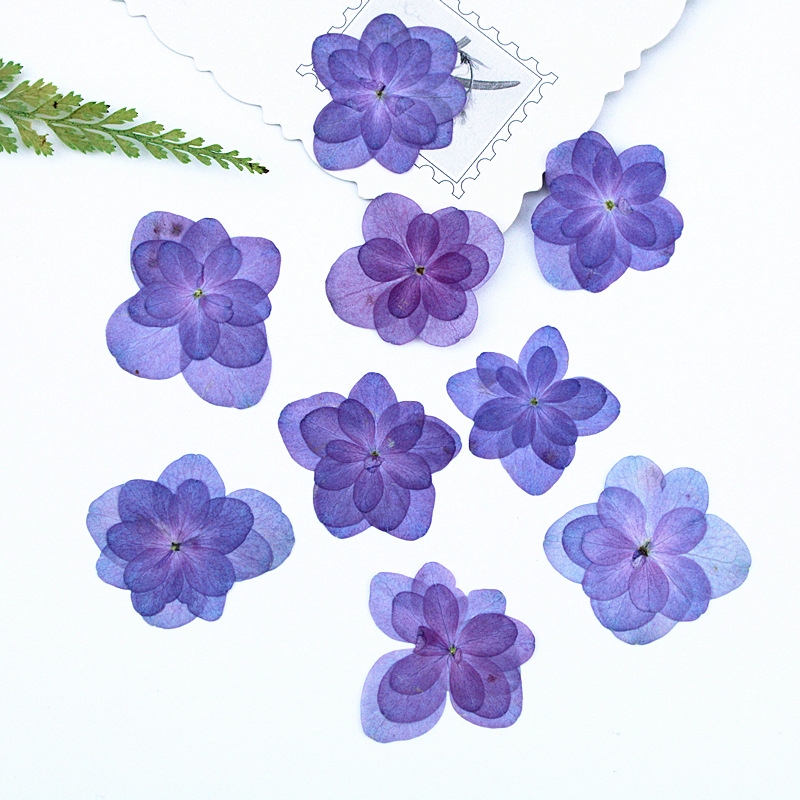 h2uTiviiztSHn2aJjQ1YWs2K5qfucIGu66Wl