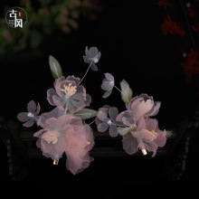 ����Ů���P�l�Ʒ�l�A�h����������ɚ�l�ɫϵ���A߅�AHF1199