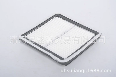 Lishi wing leopard air filter – Air filter