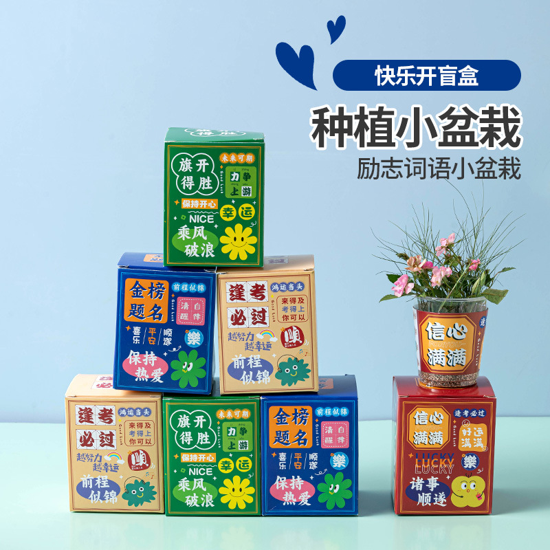 创意植物盲盒小盆栽幼儿园礼物室内种植花卉种子学生桌面绿植盆栽
