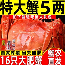 ����з��16ֻ�r���з���lз�F؛ȫĸ�ش�з�t���з�ͶY���K��з