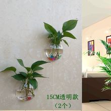 墙饰挂饰水培绿萝花盆壁挂鱼缸装扮房间装饰品卧室客厅背景墙壁饰