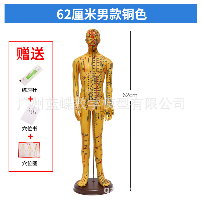 52CM ���������徭��Ѩλģ�� ���ͭɫ������ζʮ�ľ�����Ůģ��