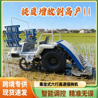 乘坐式六行高速插秧机水稻秧苗插秧种植机农用种植机械厂家直供