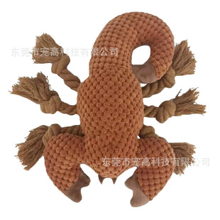 ��������K�l֨֨�п�ҧӖ���坍���X�Ĺ�����ߜp���������