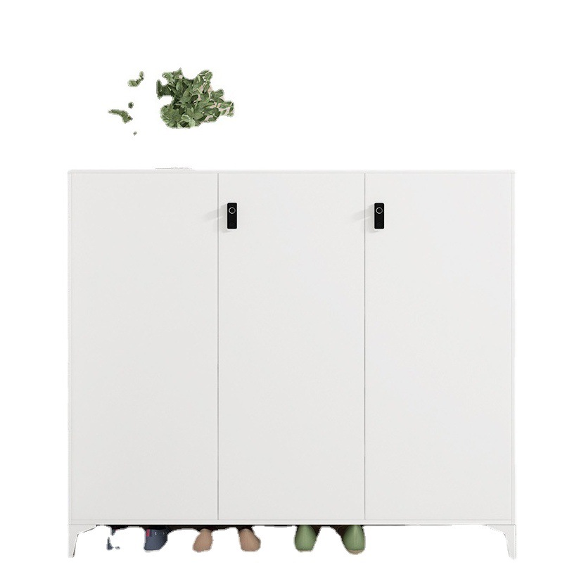 Gabinete de zapatos de acero para el hogar gabinete de almacenamiento de pasillo de entrada con cerradura interior y exterior simple moderno estante de zapatos a prueba de polvo