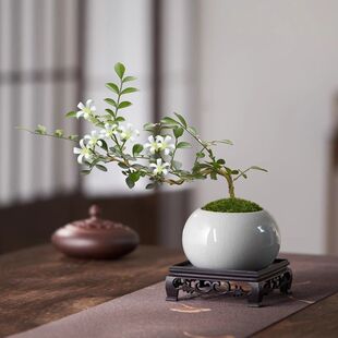 С�~���������ԑ����h֦�������辰�҃��̨����Gֲ�����ļ�����