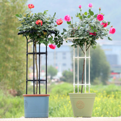 Gardening assembly bracket rose climbing pergola single circle umbrella outdoor rose clematis rose bracket factory direct sale