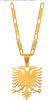 Accessory, golden pendant stainless steel, necklace, suitable for import, European style