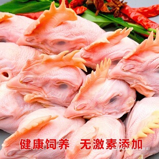 ���r�u�^5��������������u�^���u�^���r�ك��u�^�u���ָ�Ʒ����