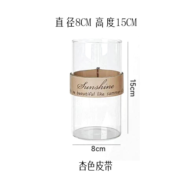 創意皮革手提げガラス生態花瓶杯微景観水培植物花器乾花工芸創意家庭|undefined