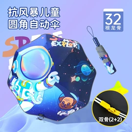 晴雨伞;雨伞;广告伞