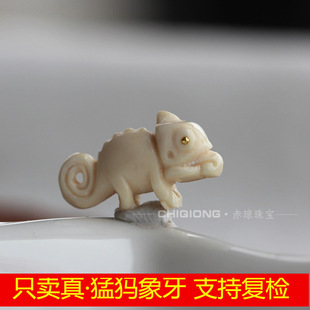 ��Ȼ�ͪw������̼� С���� С���� �Ȍ� DIY�OС���������