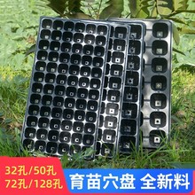 育苗盘育苗盆穴盘塑料杯种植神器营养钵蔬菜育种扦插盒农用托盘盆