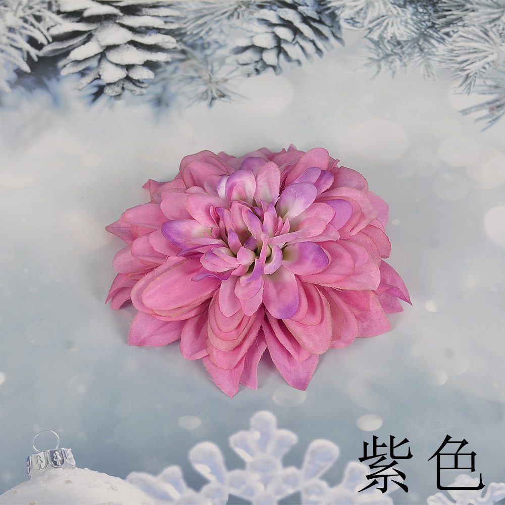 보라색 SL 큰 epiphyllum 꽃 머리