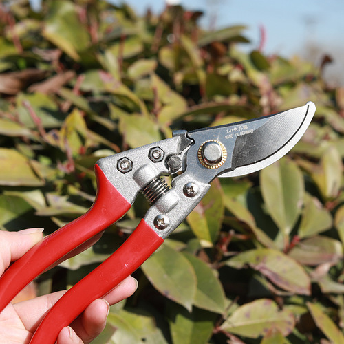 Fruit tree shears, pruning scissors, labor-saving pruning scissors, branch and flower branch gardening shears, flower shears, garden tools wholesale