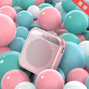 Cross-border S17 Hot Bee Megaphone Multi-function Wireless Bluetooth Teacher Tour Guide Special Large Volume Wholesale
