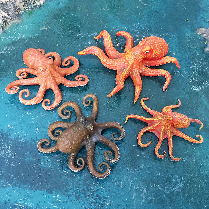 Amazonas simulación modelo animal marino pulpo sentado casa de piedra submarino biológico juguete decoración Escritorio