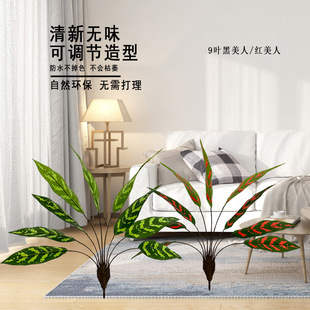 Wֲ˽ 9~˽پGֲl҃ȿ͏db쾰