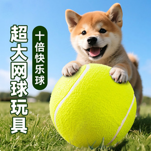 ������������˽␞��������߅����ë�»���ҧ��ĥ���W�����Ȯ