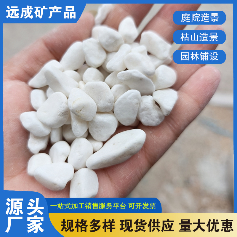 厂家供应白色卵石多肉铺面白石子白色砾石日式枯山水造景白石米