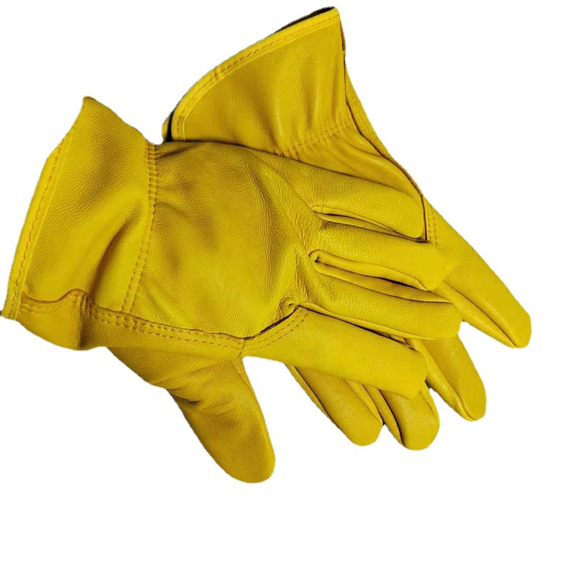 2022�ļ�ͨ�ú����ͱ�ţƤ���׽���������ҵ��ʿ������������