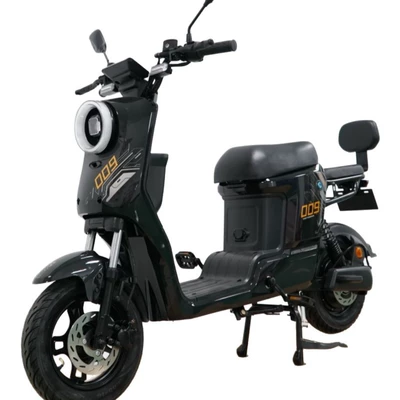 Electric Scooter: Motuoche Auto Parts and Accessories