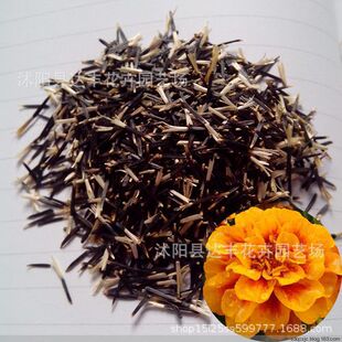 ��ȸ�ݷN�����lС�f�۾� �t�S�� ������ ���ջ� ���ӻ����|���N