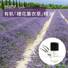 ~޹²ݻsϓP1mlηji뻨޹²ݾ