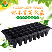 加厚加深32孔50孔苗木草莓育苗穴盘 林木穴盘 林木育苗盘