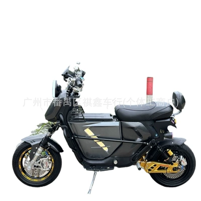 services, Elektrikli motosikletlər