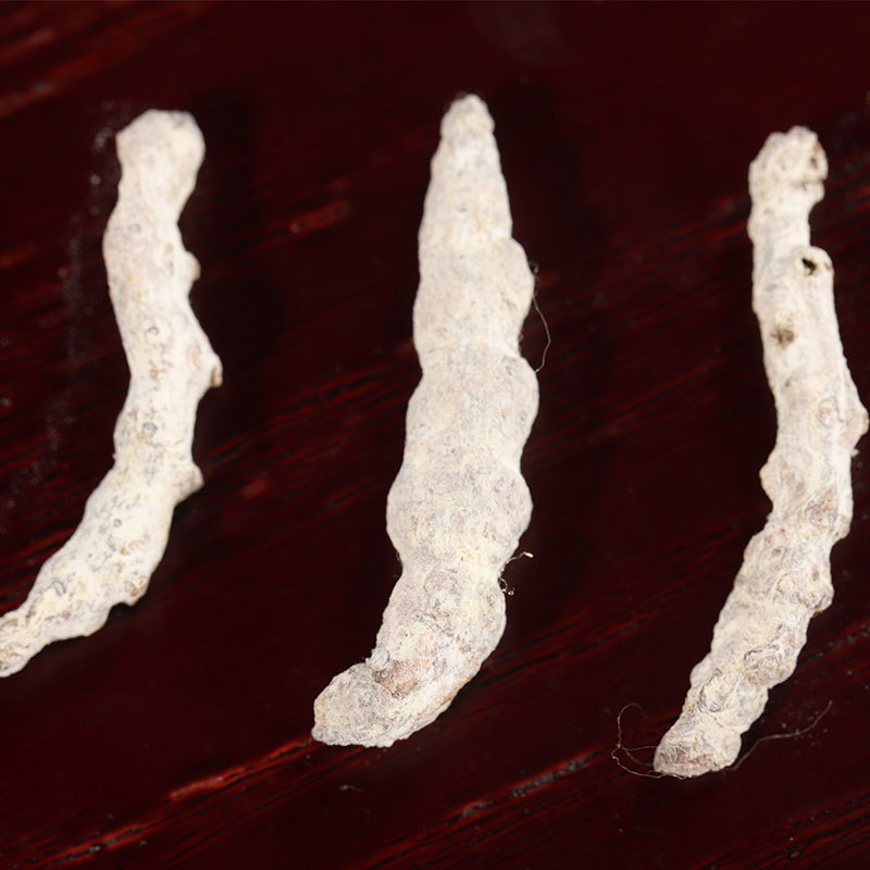 Dried Silkworm Jiang Can 500g Natural Sun Dried TCM Herb for Decoctions quality and texture