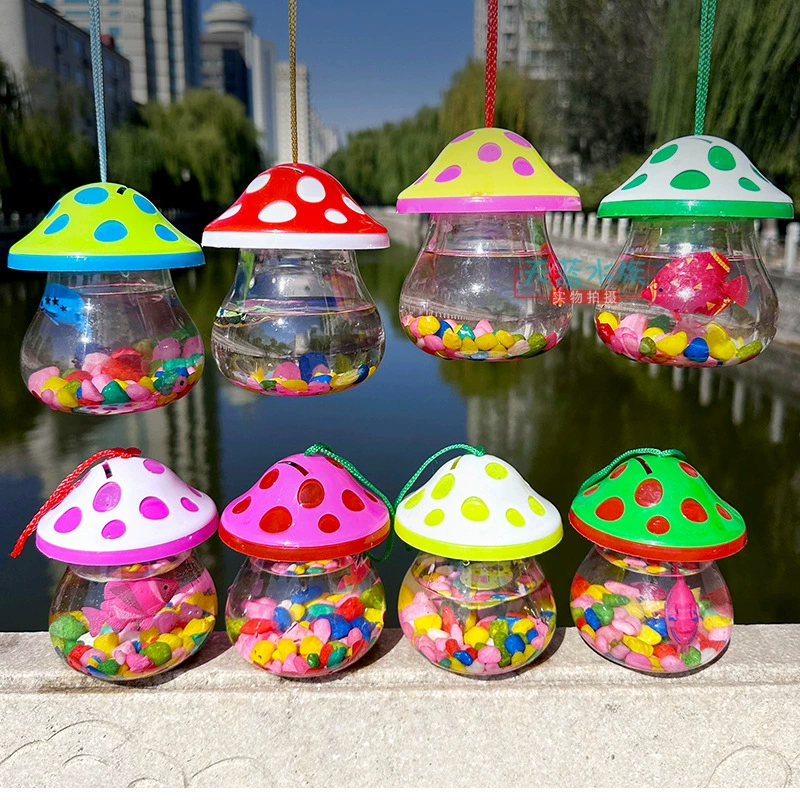 Small plastic handheld children's transparent aquarium