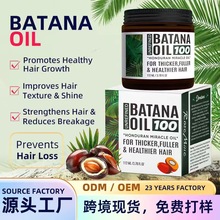 �羳ר����������Batana hair care oil����������˳������������