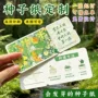 种植环保毕业发芽明信片