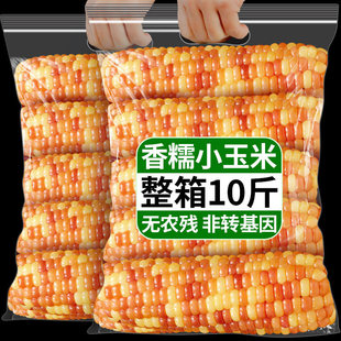 ������p��{��ŴС�������r���_��Ȼ�Ŵ���װ�����b���b����ʳ