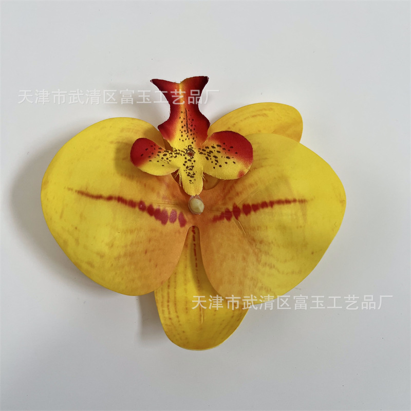 Sunflower yellow