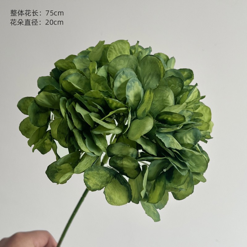 绿色面包绣球.jpg